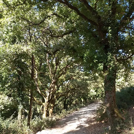 Appartamento La Casa Di Enza